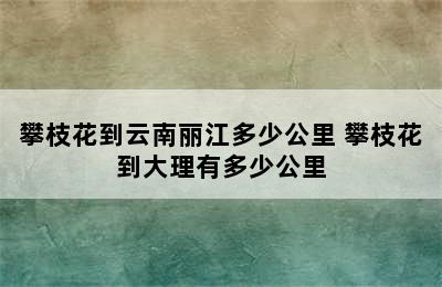 攀枝花到云南丽江多少公里 攀枝花到大理有多少公里